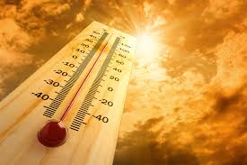 Excessive Heat: Staying Safe and Healthy with Tips from Milan Safety