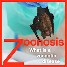 Understanding Zoonosis: Bridging the Gap Between Animal and Human Health