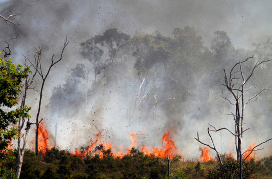 As wildfires continue to rage in Canada