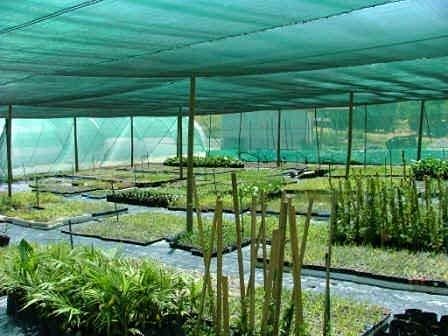 Agri Shade Nets: Your Solution for Optimal Shade and Protection