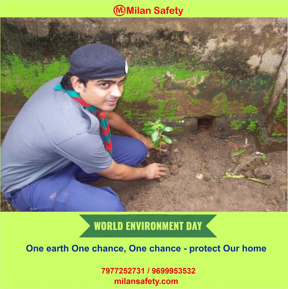 Celebrating World Environment Day with Milan Safety: Let's Make a Difference Together! 🌿